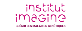 Institut imagine